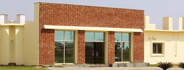Noida International University- School of Business Management